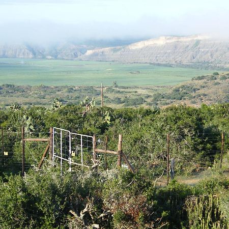 Kudu Ridge Game Lodge Addo Bagian luar foto