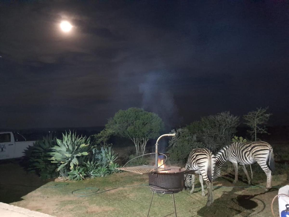 Kudu Ridge Game Lodge Addo Bagian luar foto