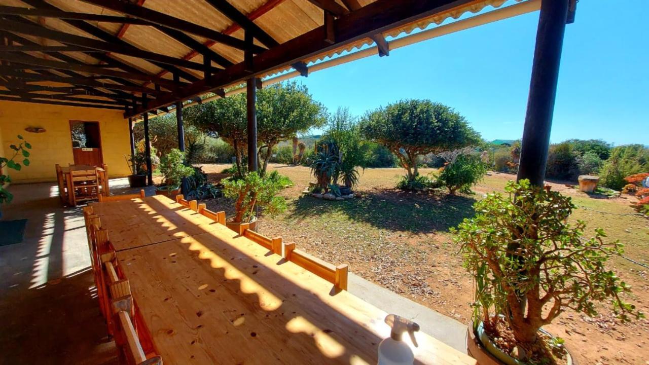 Kudu Ridge Game Lodge Addo Bagian luar foto