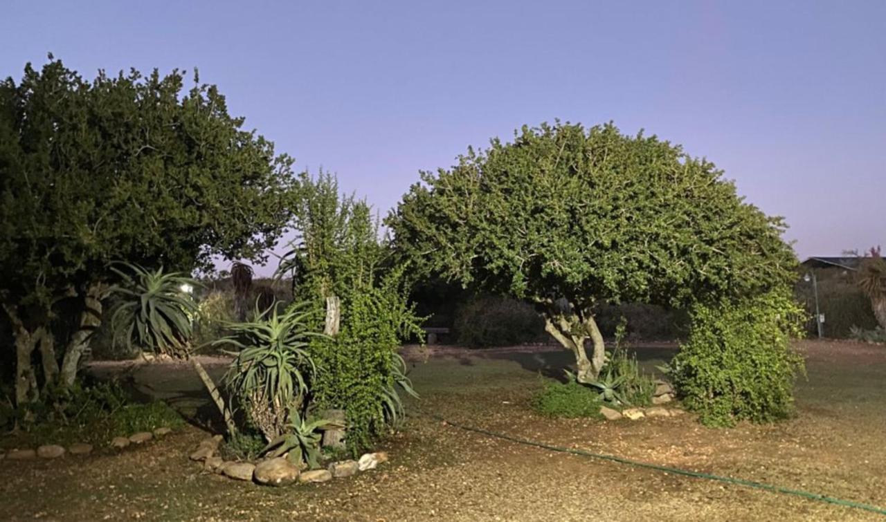 Kudu Ridge Game Lodge Addo Bagian luar foto