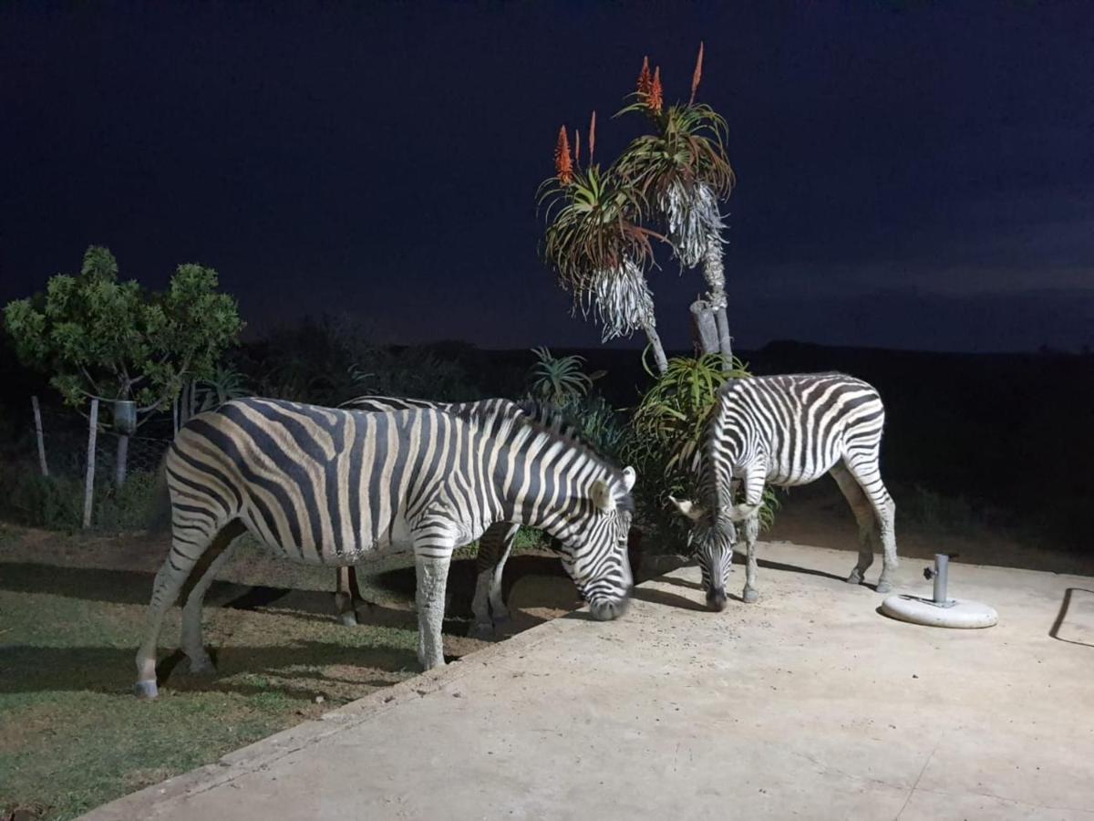 Kudu Ridge Game Lodge Addo Bagian luar foto