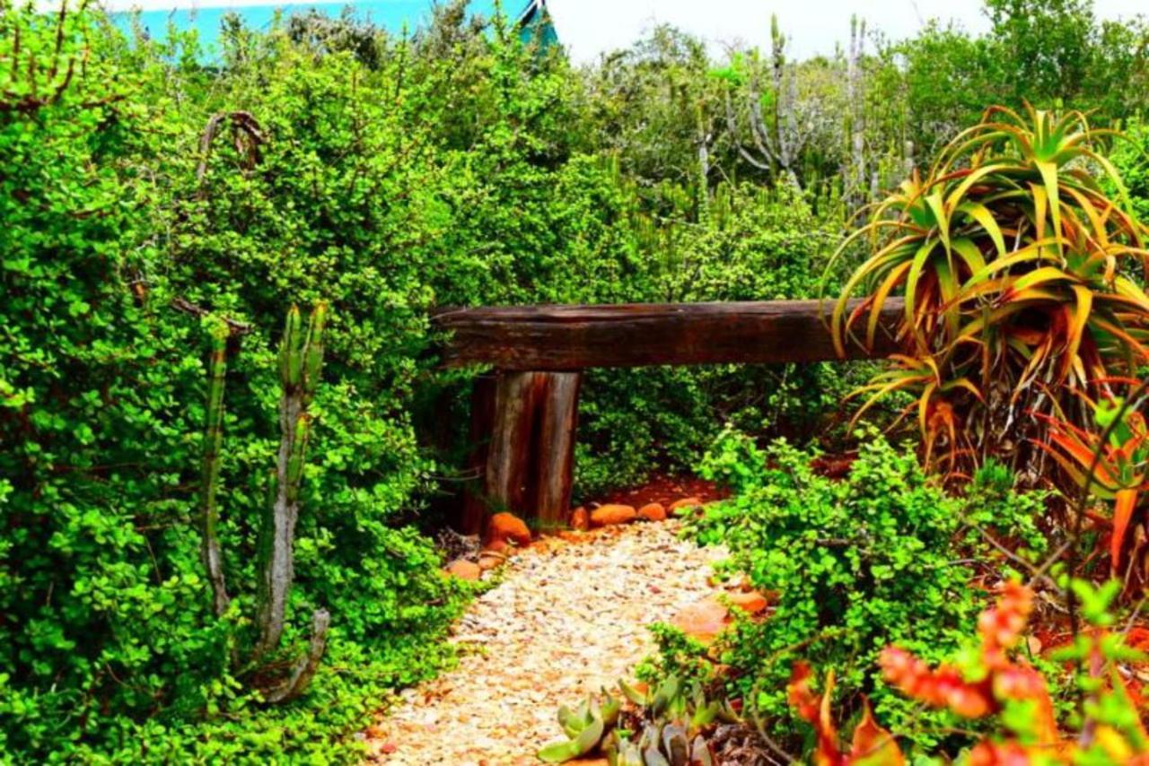 Kudu Ridge Game Lodge Addo Bagian luar foto