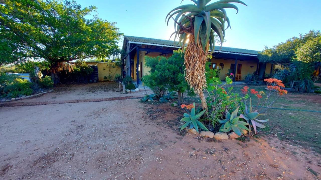 Kudu Ridge Game Lodge Addo Bagian luar foto