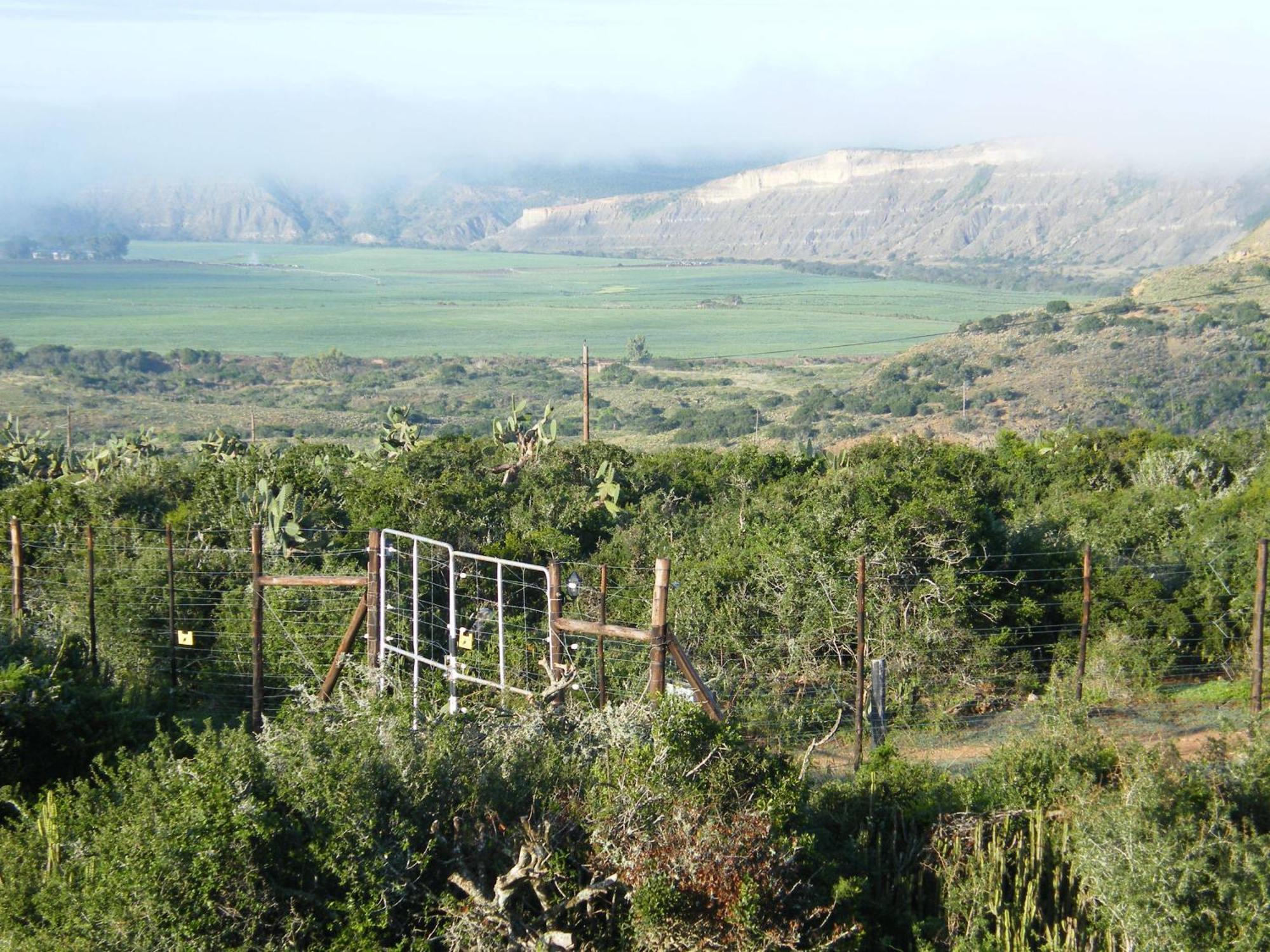 Kudu Ridge Game Lodge Addo Bagian luar foto