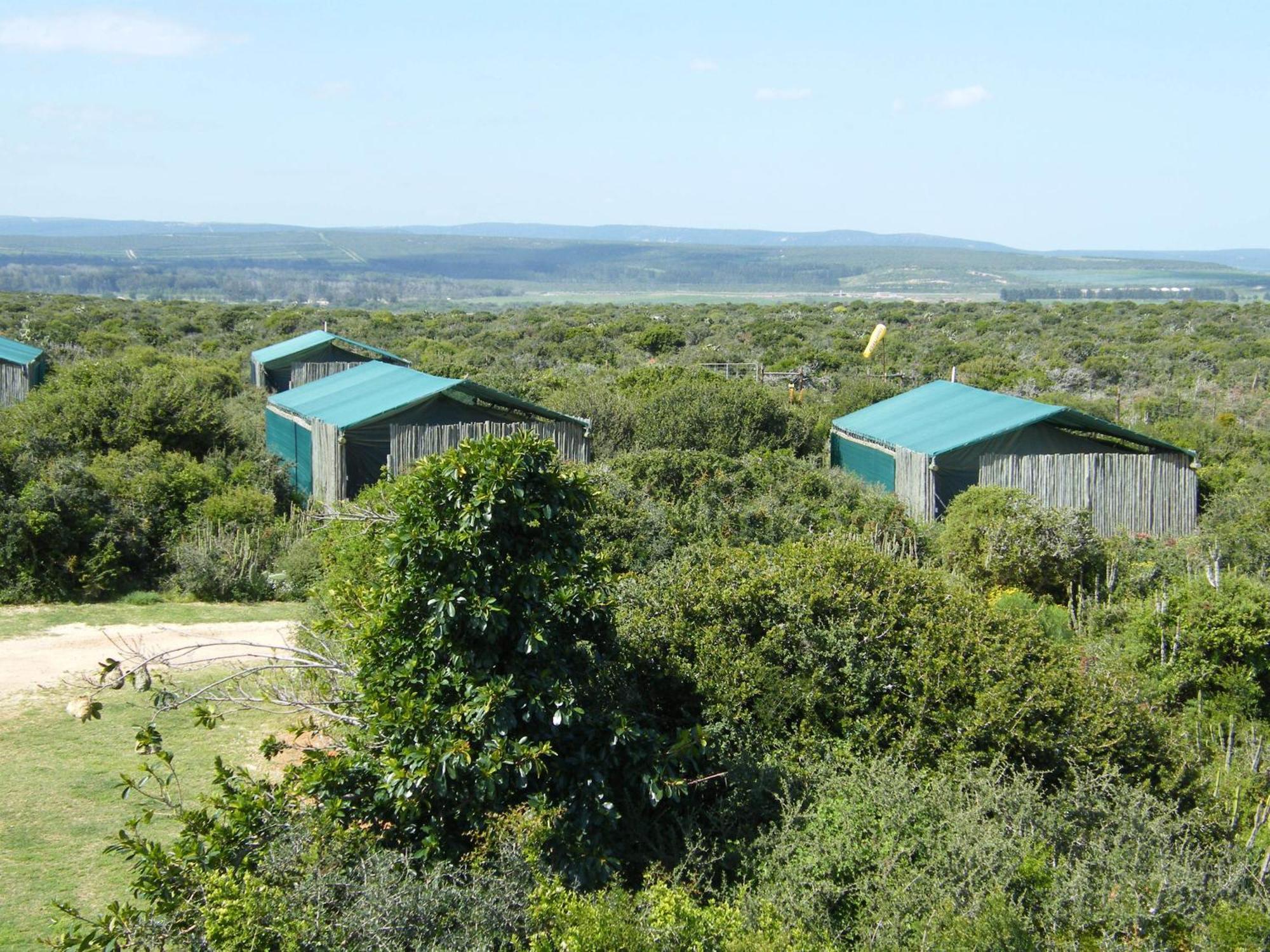 Kudu Ridge Game Lodge Addo Ruang foto